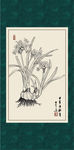 白描水仙