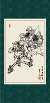 白描芙蓉