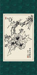 白描芙蓉