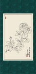 白描月季