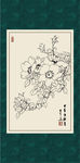 白描月季