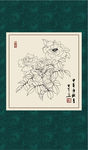 白描月季