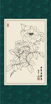 白描月季