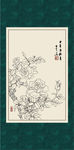 白描月季