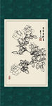 白描月季