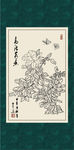 白描月季