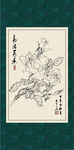 白描月季
