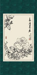 白描月季