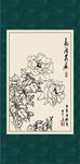 白描月季
