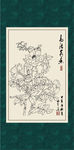 白描月季