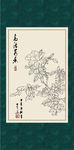 白描月季