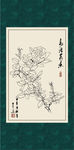 白描月季