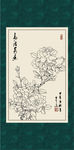 白描月季