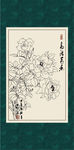 白描月季