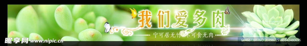 多肉植物Banner