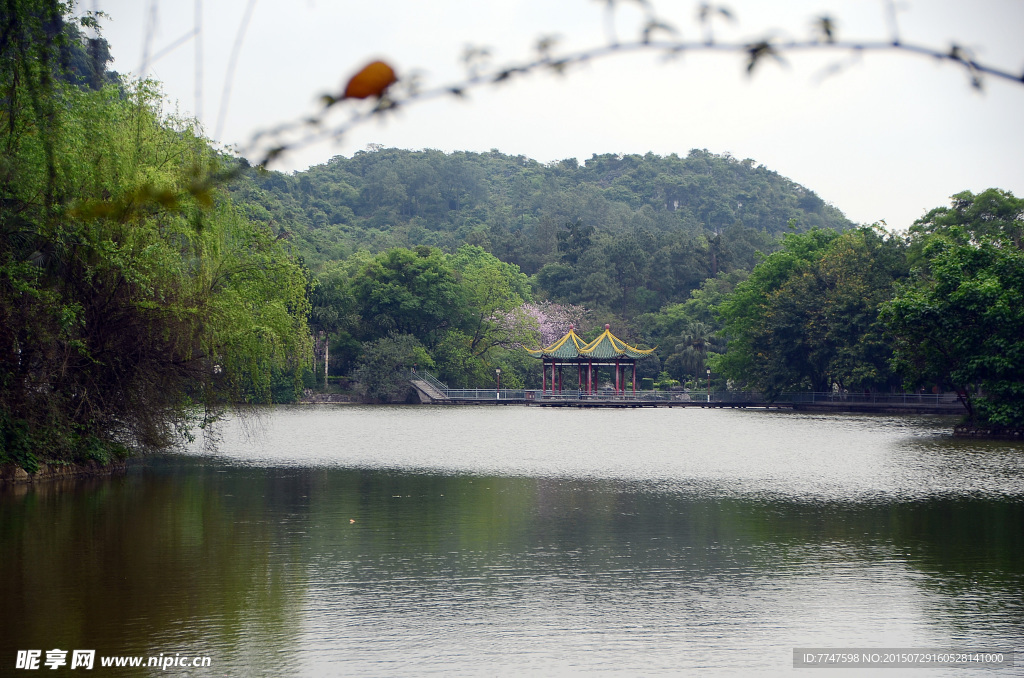 都乐岩风景