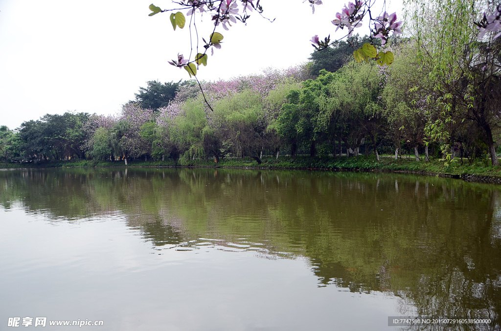 山水风景