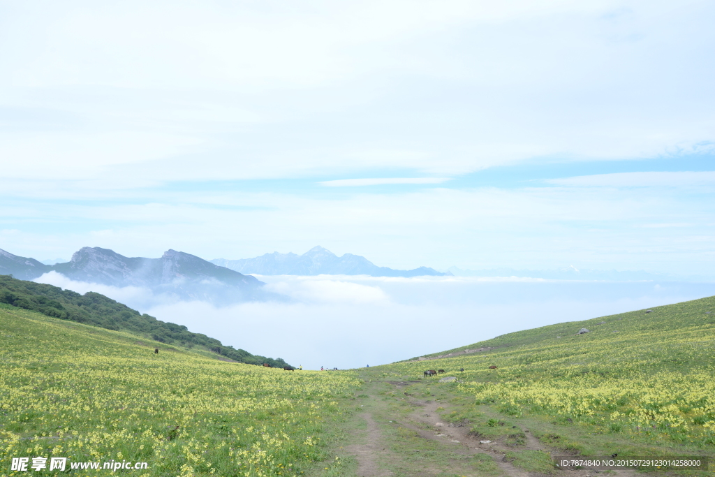 九顶山风光