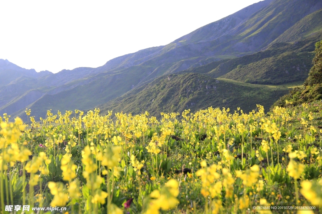 九顶山风光