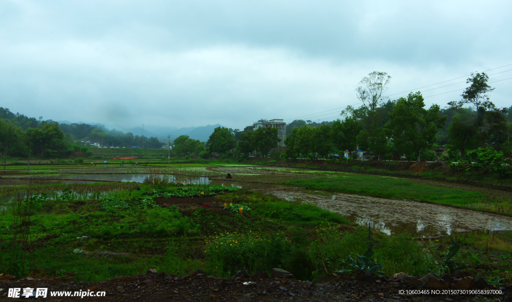 客家山水 田园风光