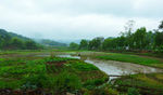 客家山水 田园风光