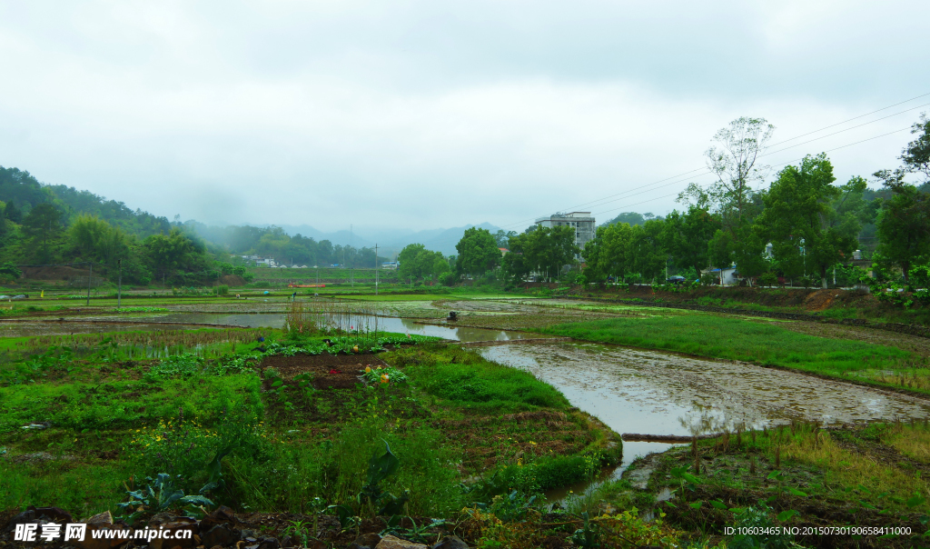 客家山水 田园风光