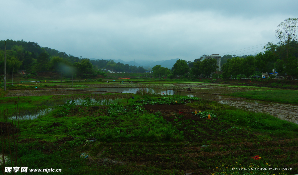 客家山水 田园风光