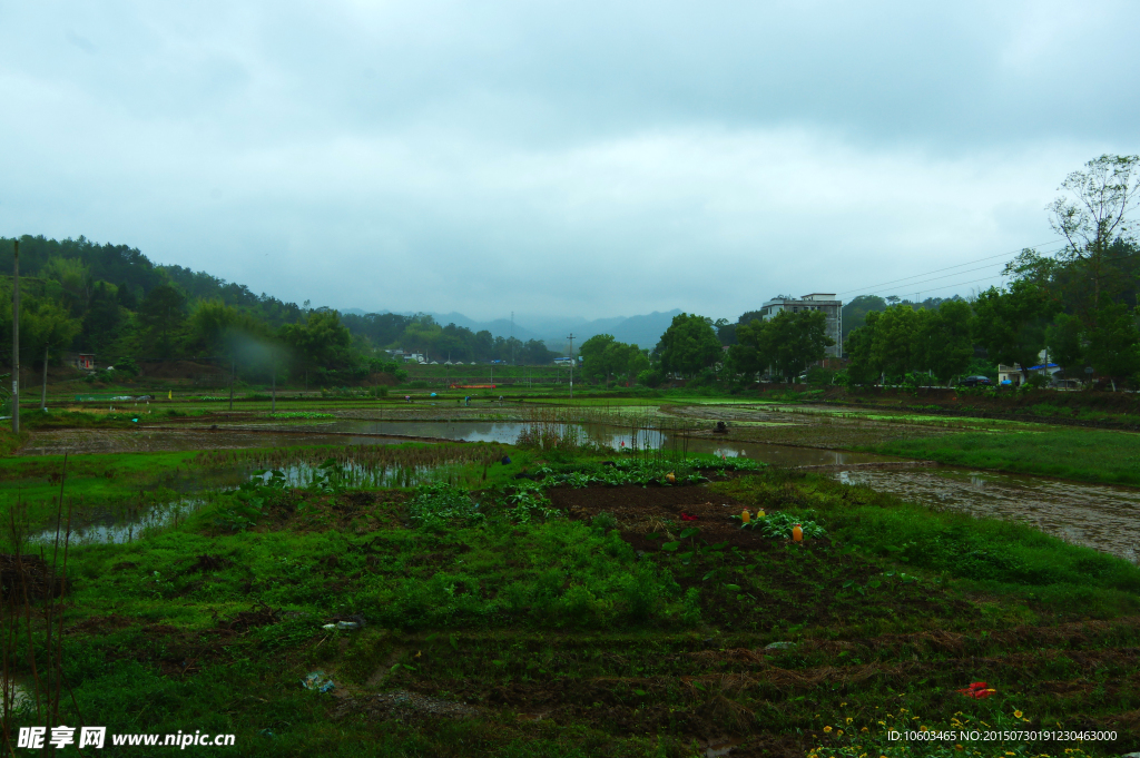 客家山水 田园风光