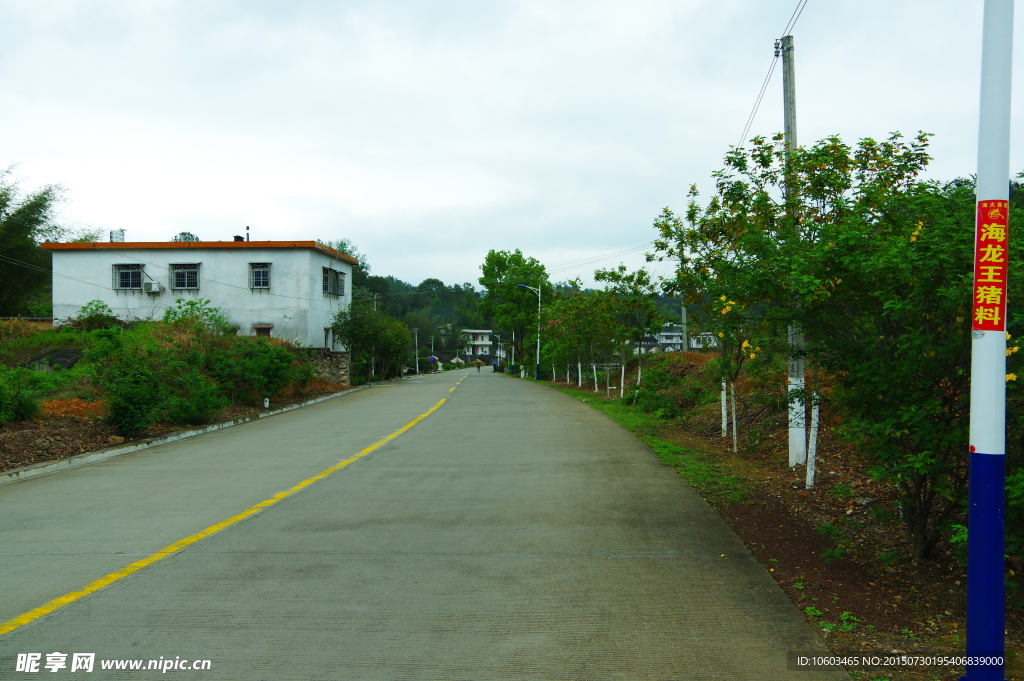 广东名村 康庄大道