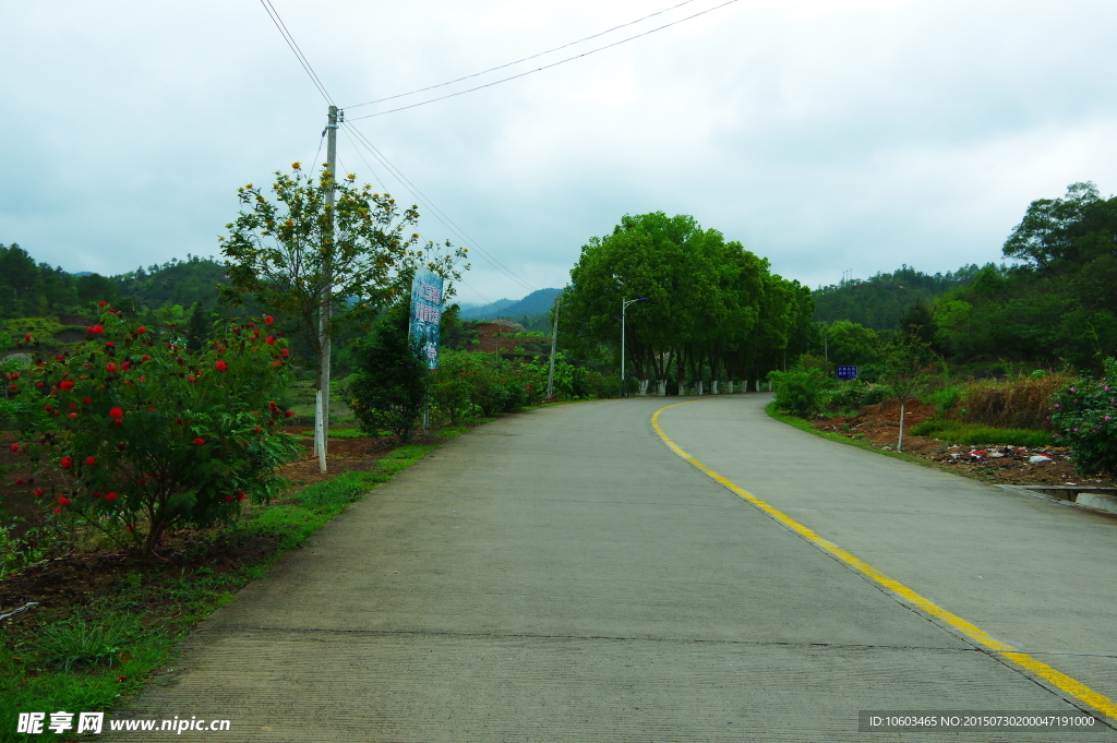 广东名村 康庄大道