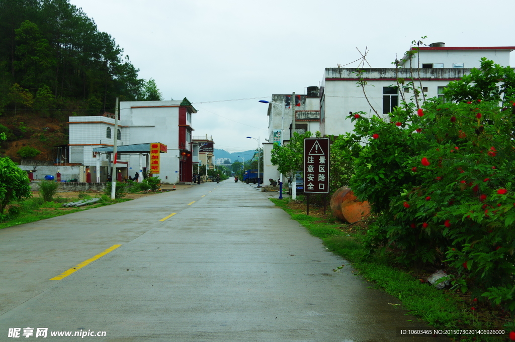 广东名村 康庄大道