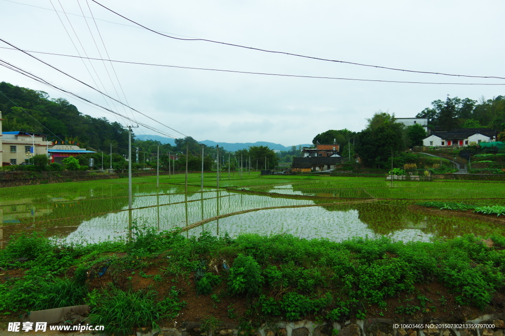 田园风光 乡村田园