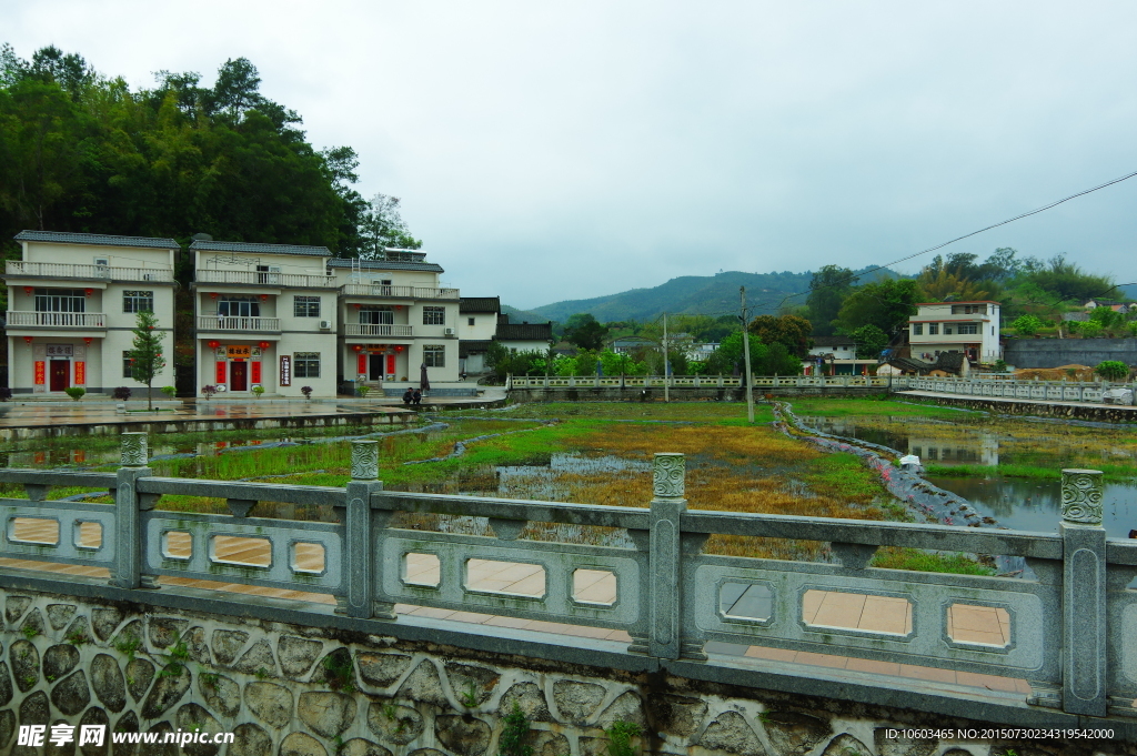 筱留村 名村田园