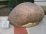 雕塑