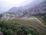 梯田