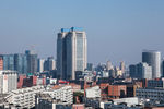 城市
