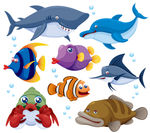 海洋生物