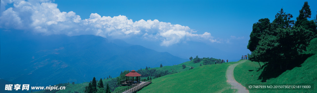 田园全景风景