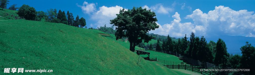 全景风景