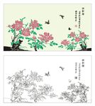 牡丹图