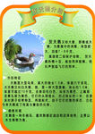 动物介绍图