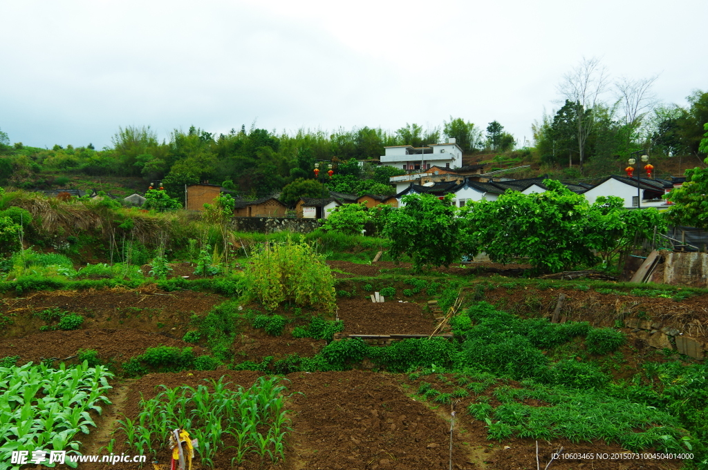 名村家园 乡村角落