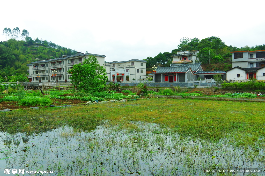 田园风光 名村家园