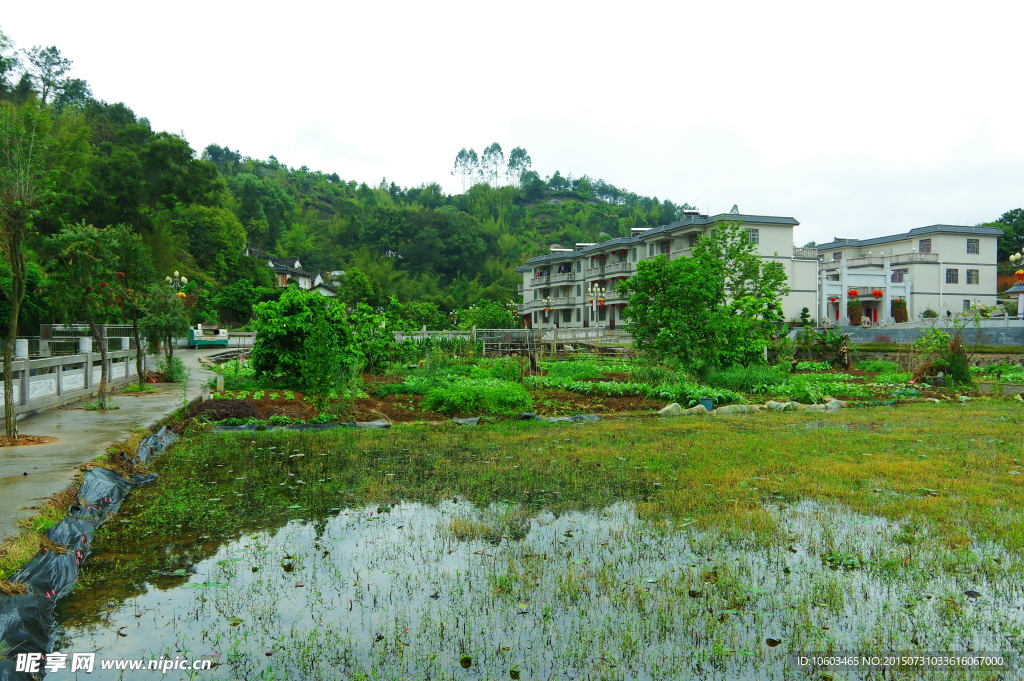 田园风光 名村家园