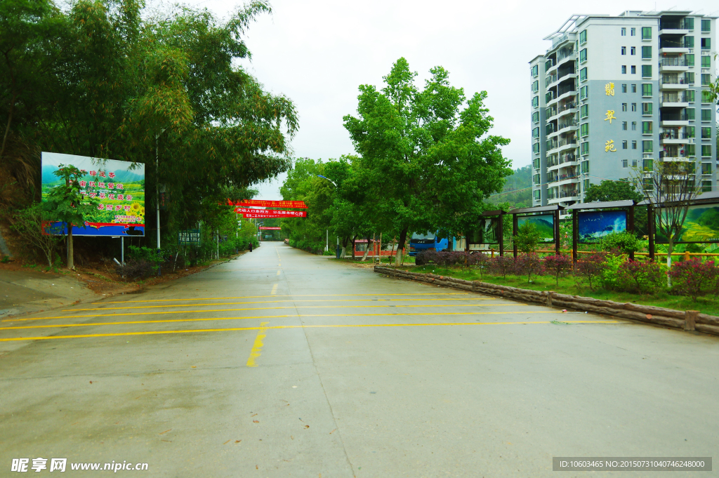 广东名村 康庄大道