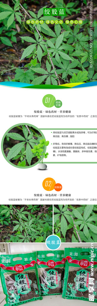 淘宝药材绞股蓝详情设计
