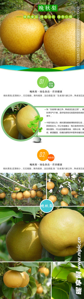 淘宝水果晚秋梨详情设计