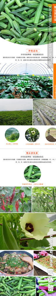 淘宝蔬菜黄秋葵详情设计