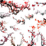 梅花素材