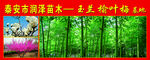 苗圃